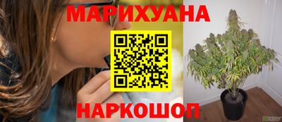 марихуана Краснознаменск