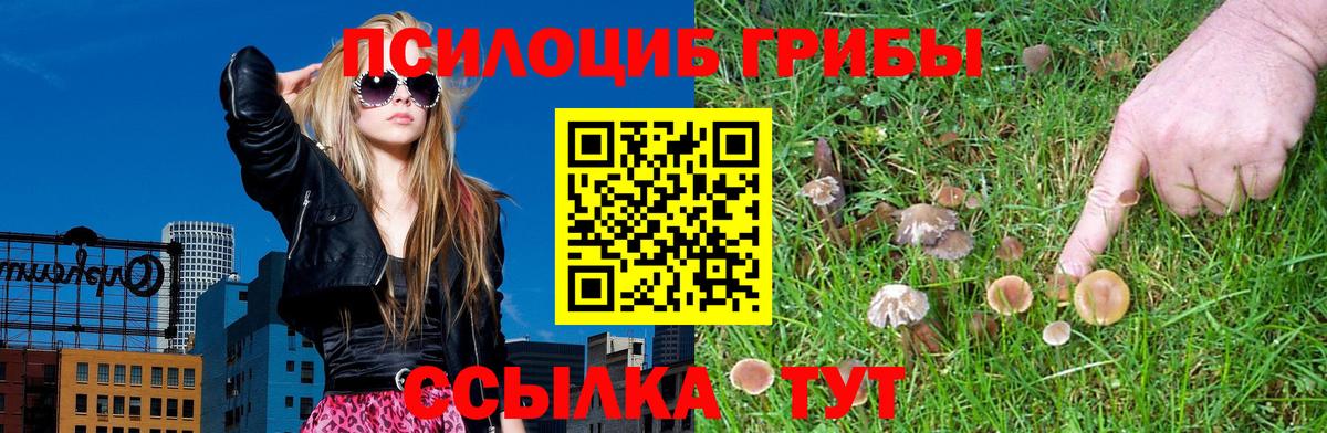 Галлюциногенные грибы GOLDEN TEACHER  Вход с VPN  продажа наркотиков  Еманжелинск 
